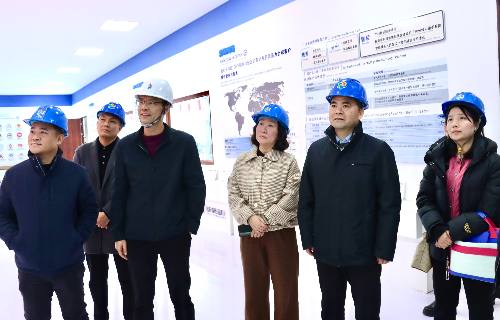 陽(yáng)光電源股份、宜賓智能制造行業(yè)協(xié)會(huì)、宜賓安徽商會(huì)調(diào)研遠(yuǎn)東電纜（宜賓）